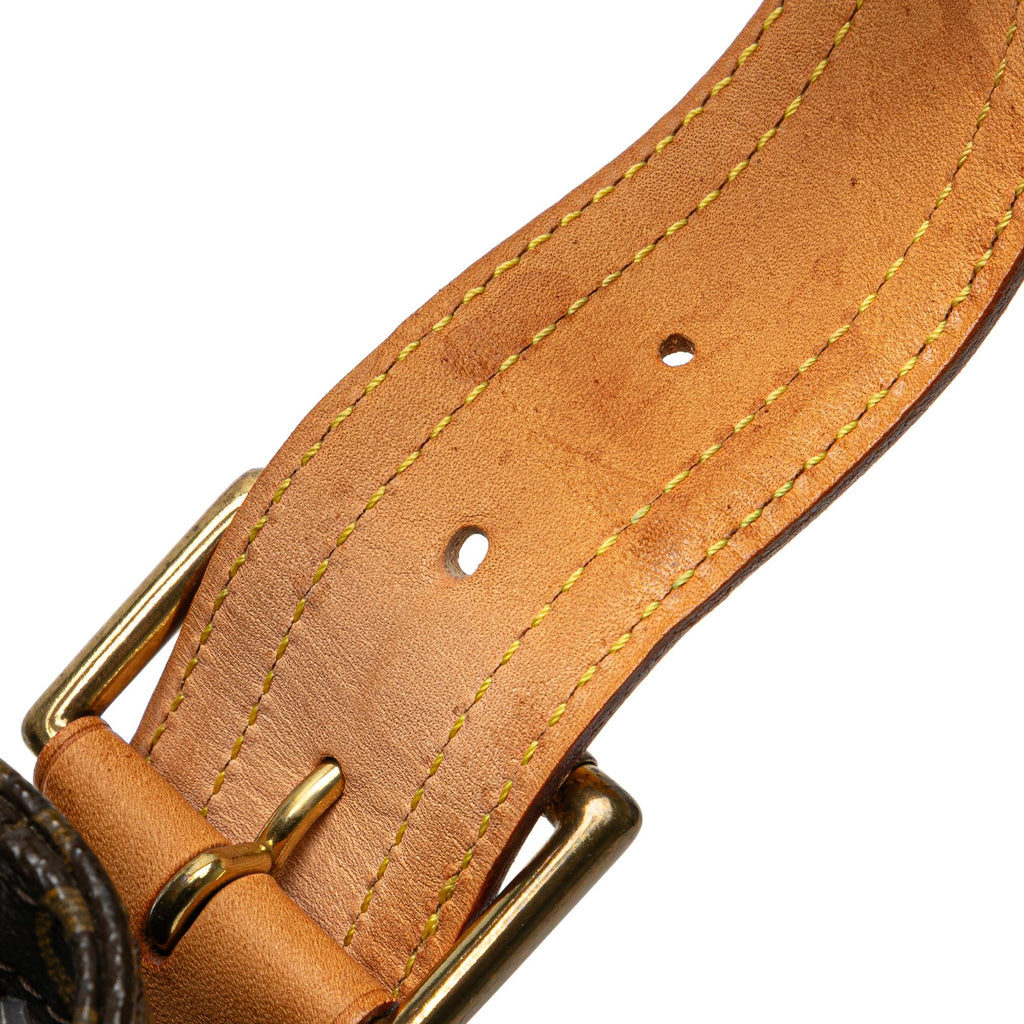 Louis Vuitton Monogram Viva Cite GM