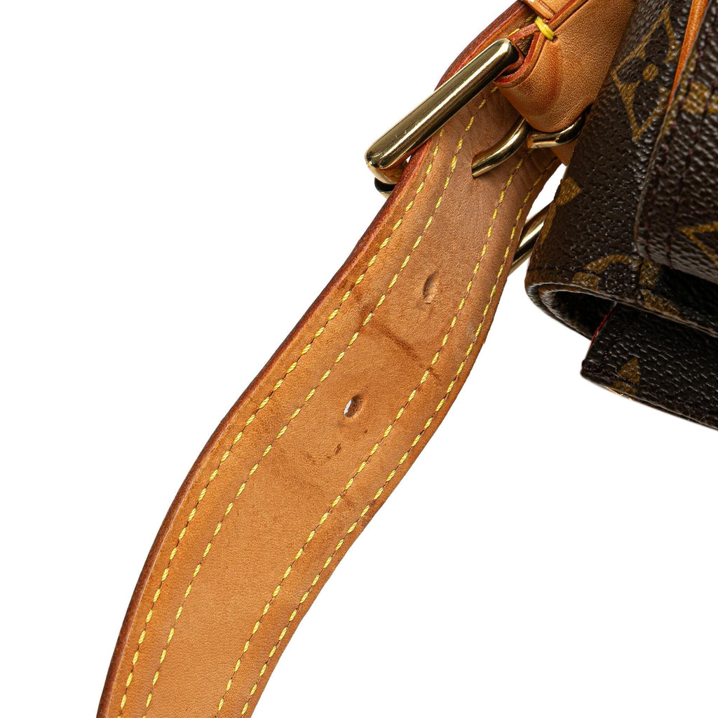 Louis Vuitton Monogram Viva Cite GM