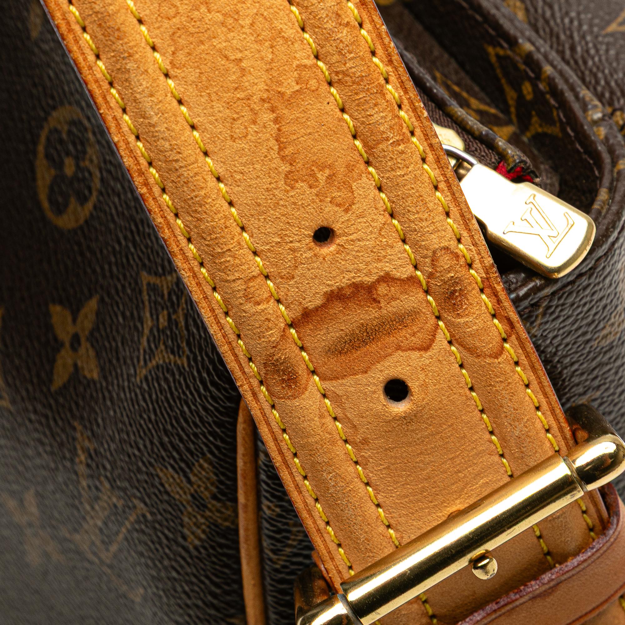 Louis Vuitton Monogram Viva Cite GM