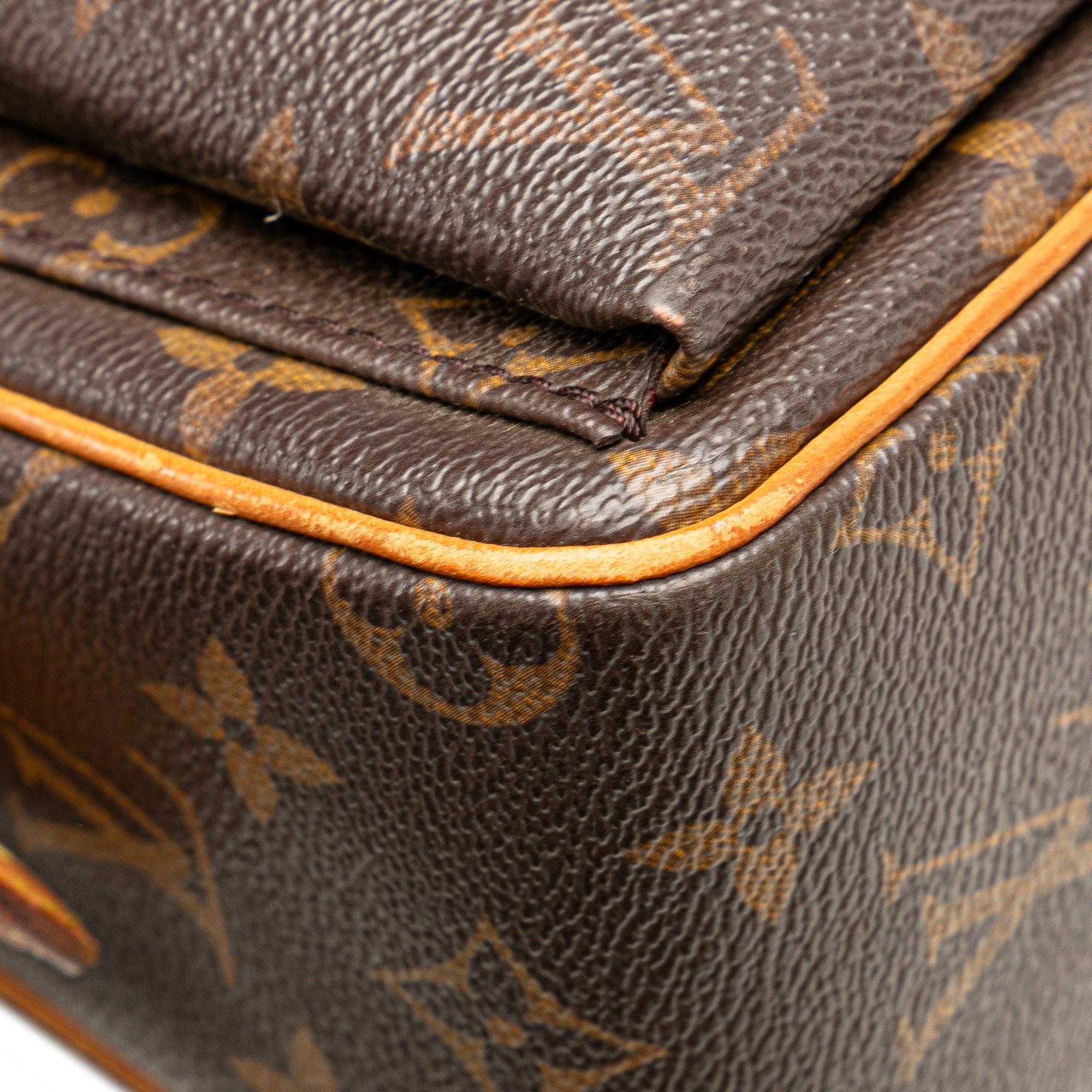 Louis Vuitton Monogram Viva Cite MM