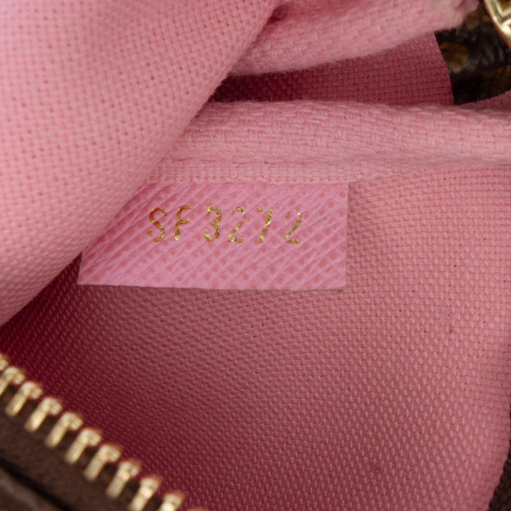 Louis Vuitton Monogram Vivienne in Paris Mini Pochette Accessoires