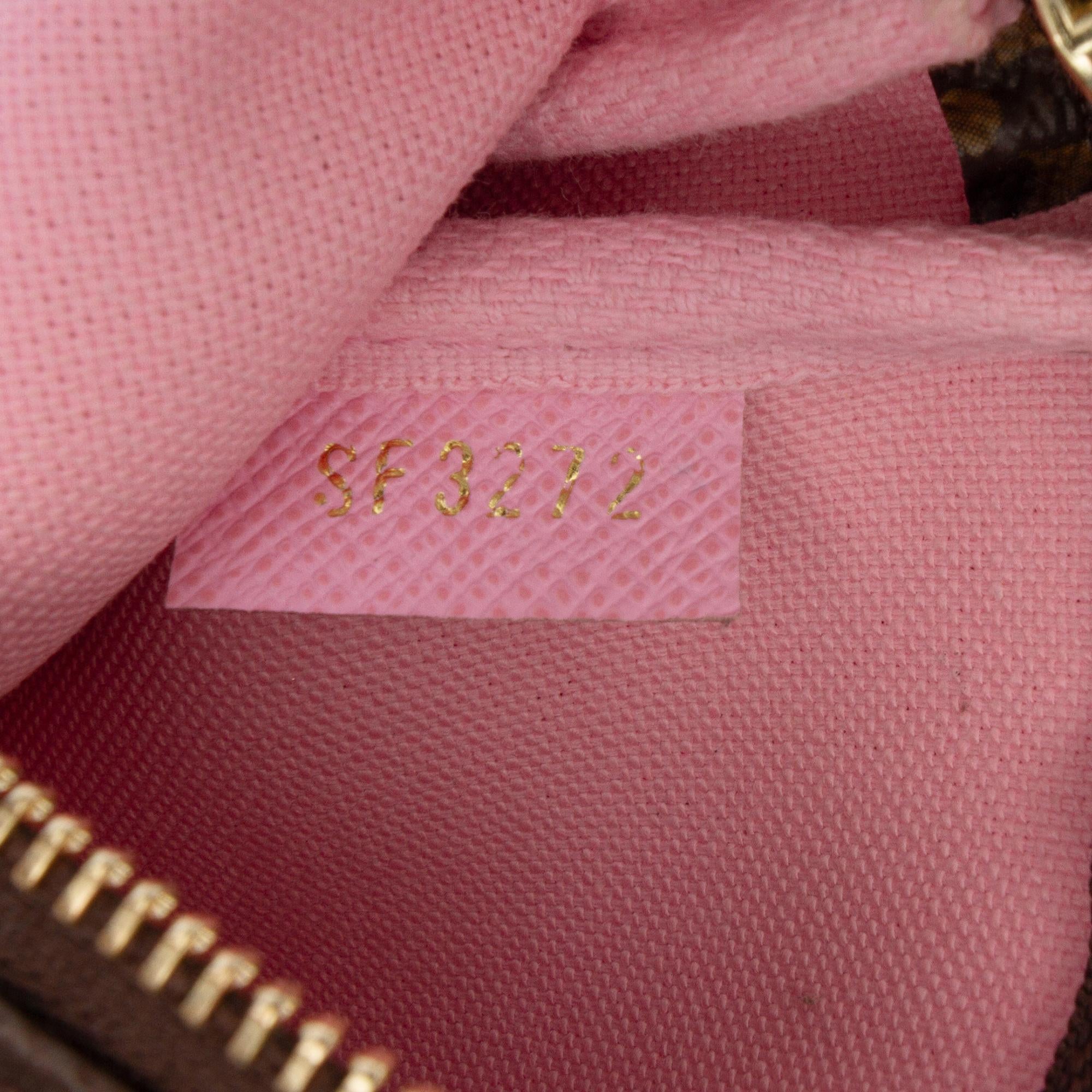 Louis Vuitton Monogram Vivienne in Paris Mini Pochette Accessoires