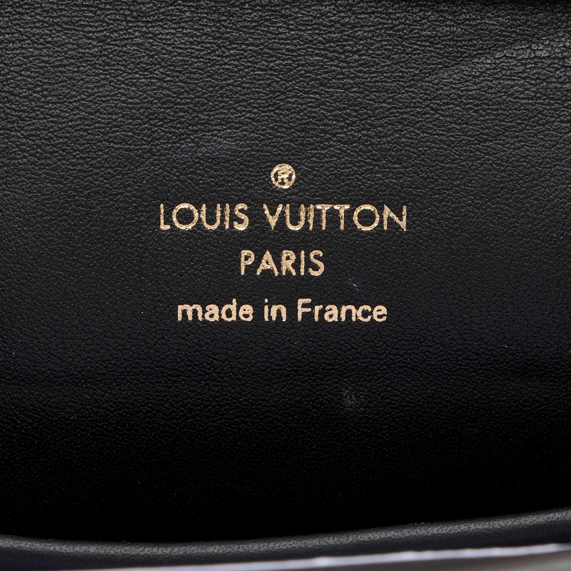 Louis Vuitton Reverse Monogram Column Pochette (SHF-HTgM8Z)