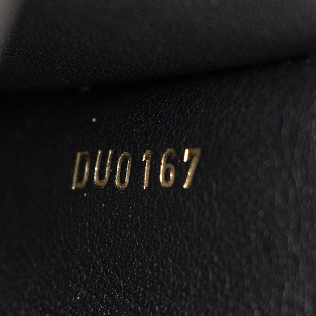 Louis Vuitton Reverse Monogram Column Pochette