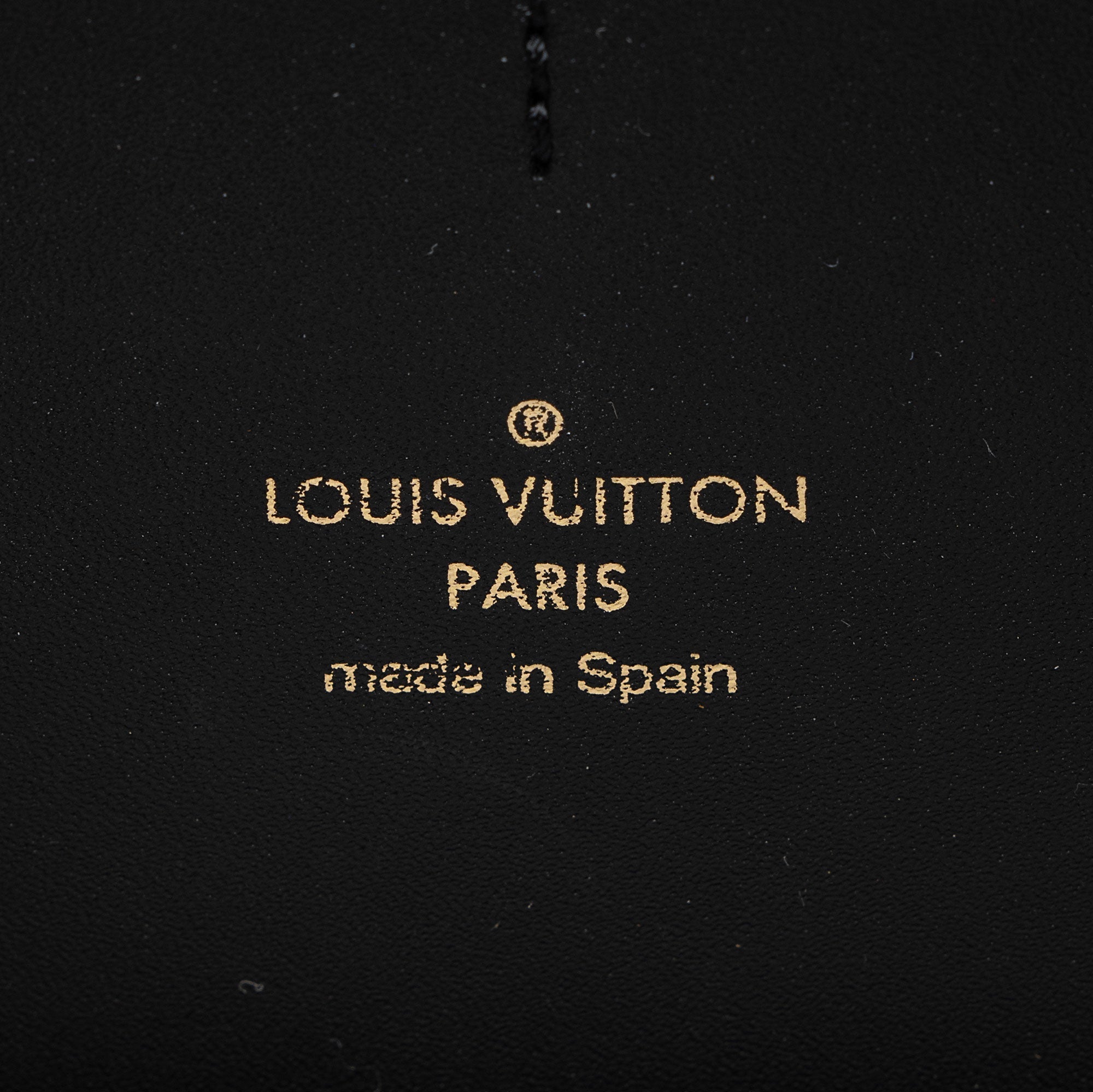 Louis Vuitton Reverse Monogram Dauphine Belt Bag