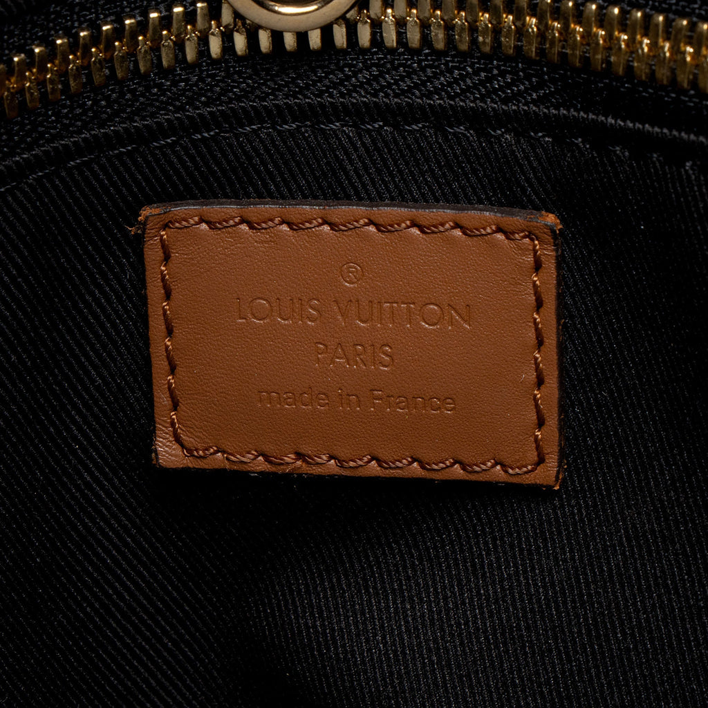 Louis Vuitton Reverse Monogram Dauphine MM Hobo
