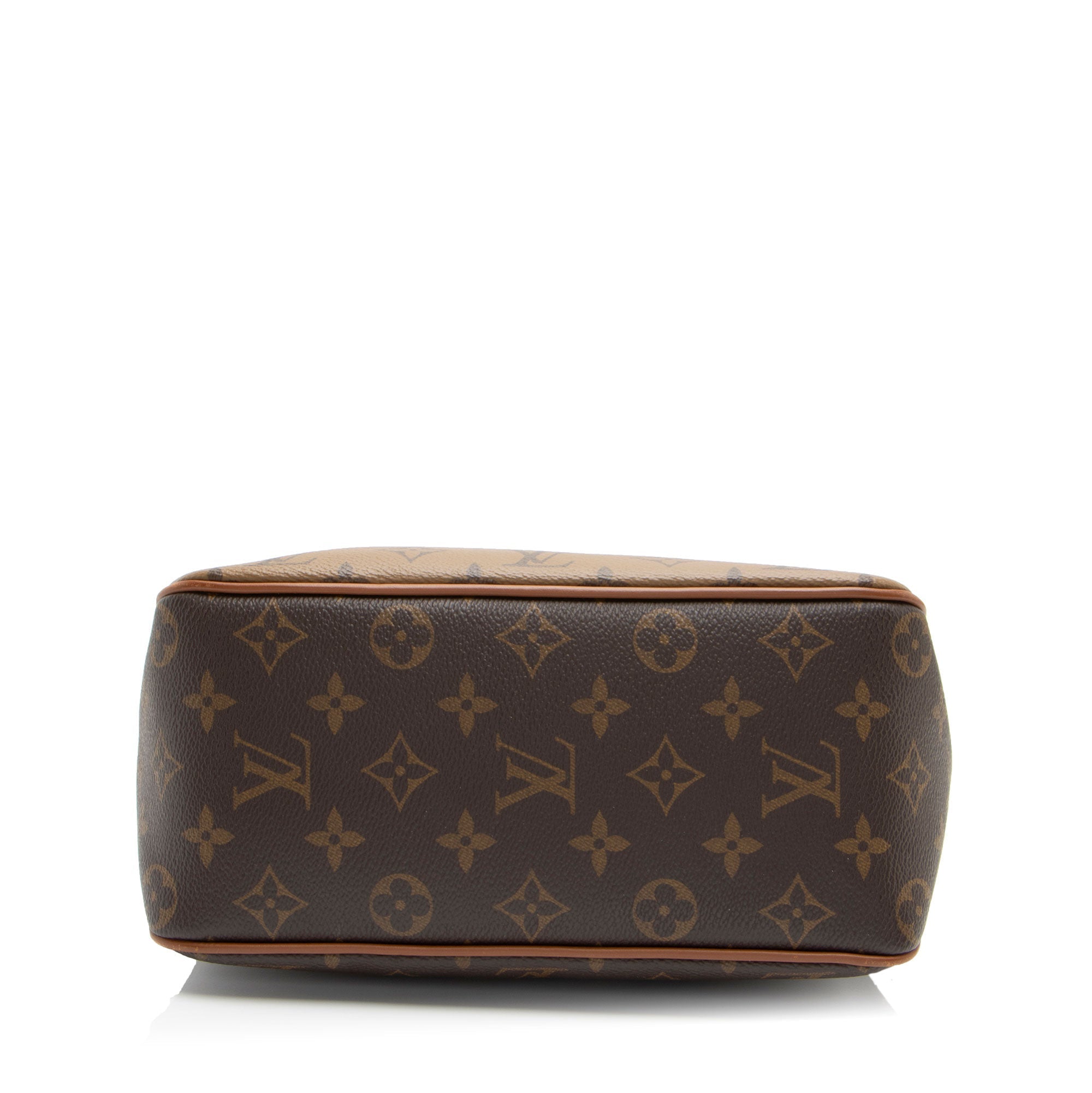 Louis Vuitton Reverse Monogram Dauphine PM Hobo