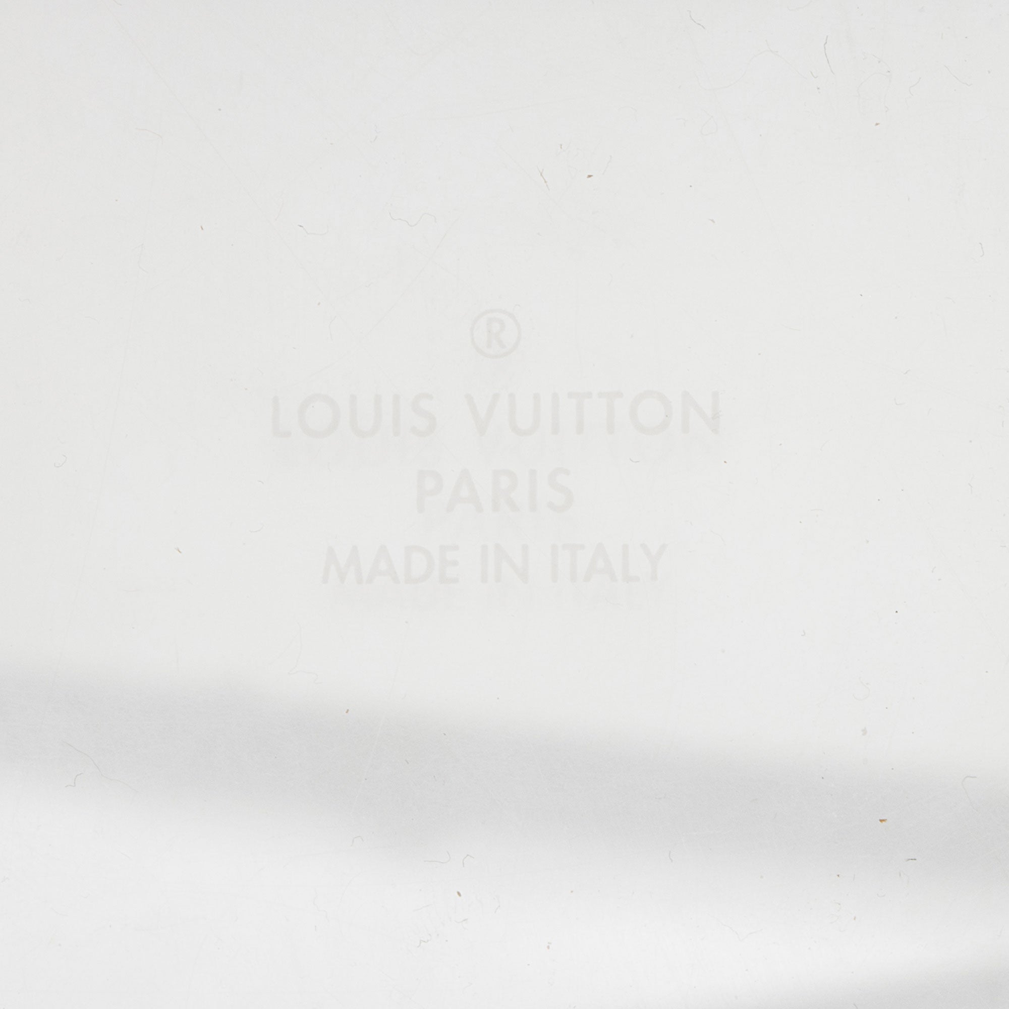 Louis Vuitton Transparent Monogram Plexiglass Scott Box