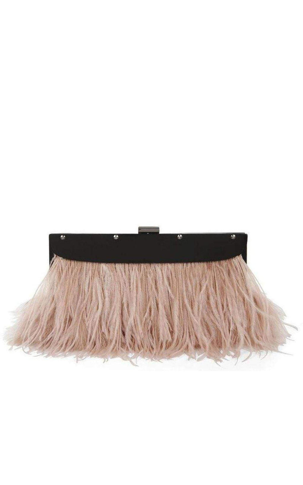 Portia Feather-Trim Lucite Clutch