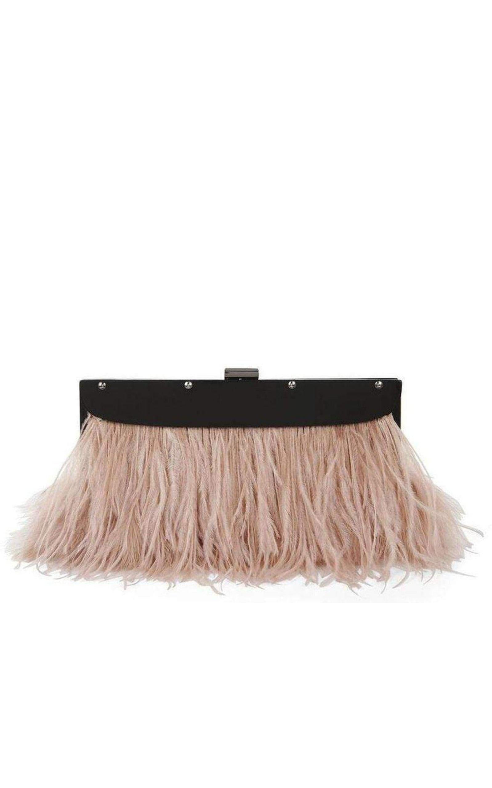 Portia Feather-Trim Lucite Clutch