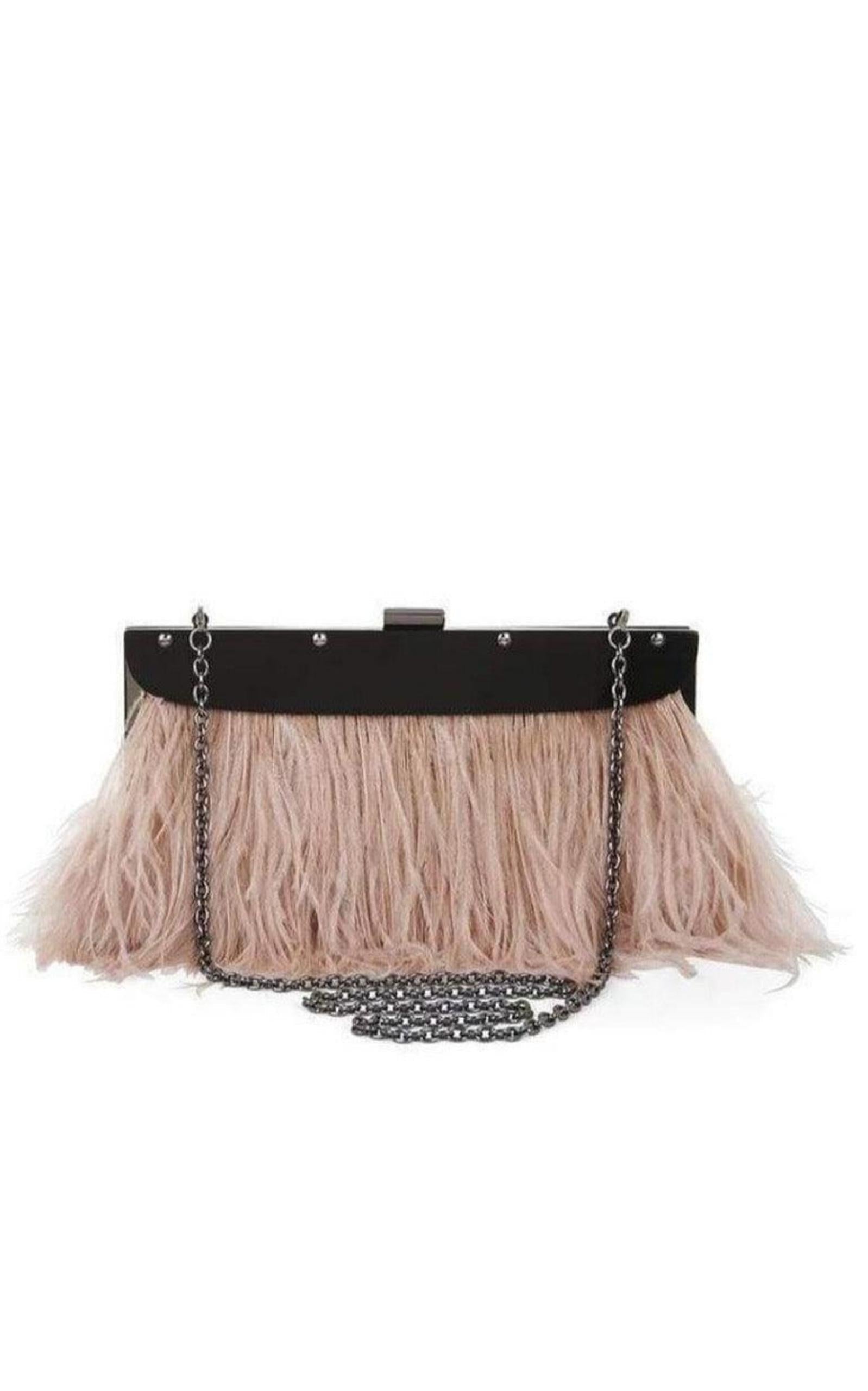 Portia Feather-Trim Lucite Clutch