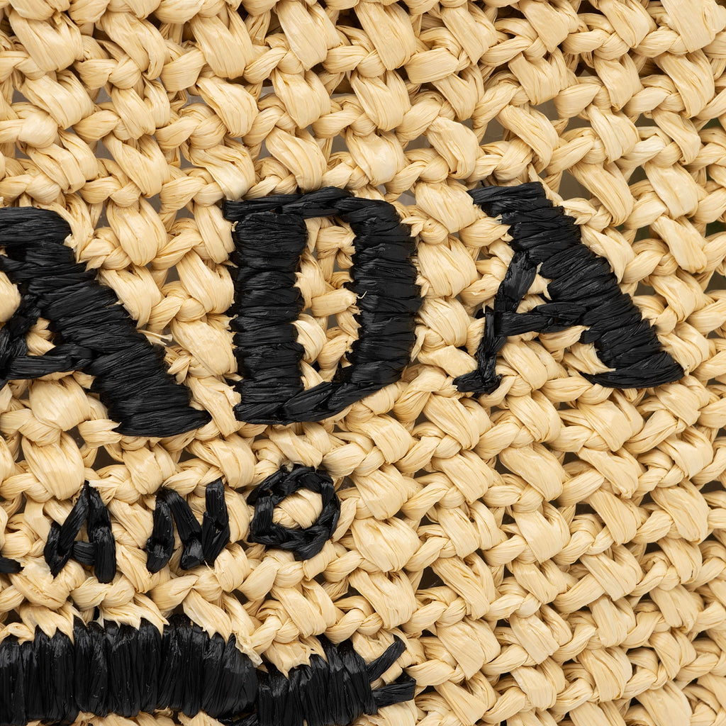 Prada Raffia Logo Small Tote (SHF-AWFY3O)