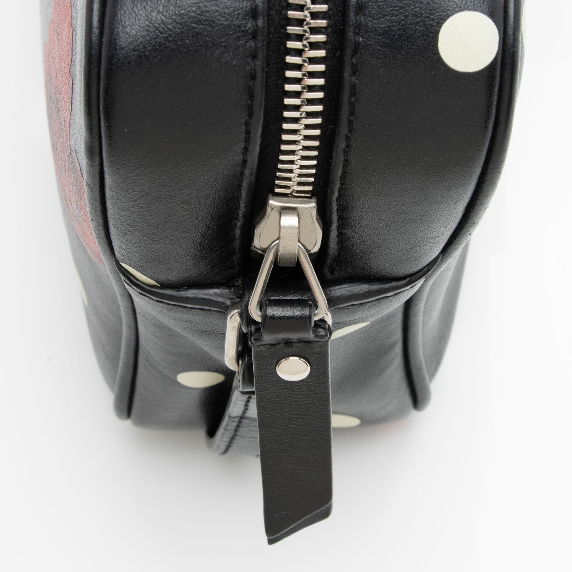 Saint Laurent Calfskin Rose Print Monogram Lou Camera Bag (SHF-fwd2tP)