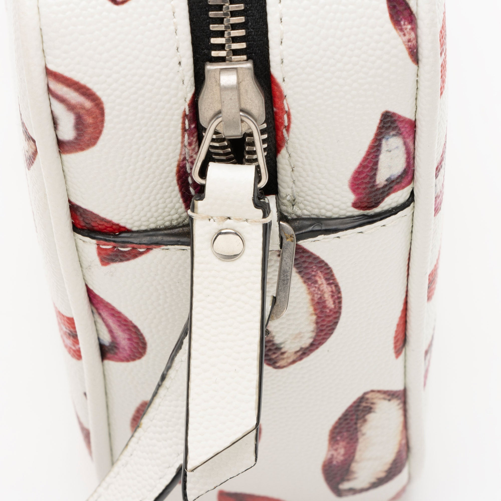Saint Laurent Grain de Poudre Lips Monogram Lou Camera Bag