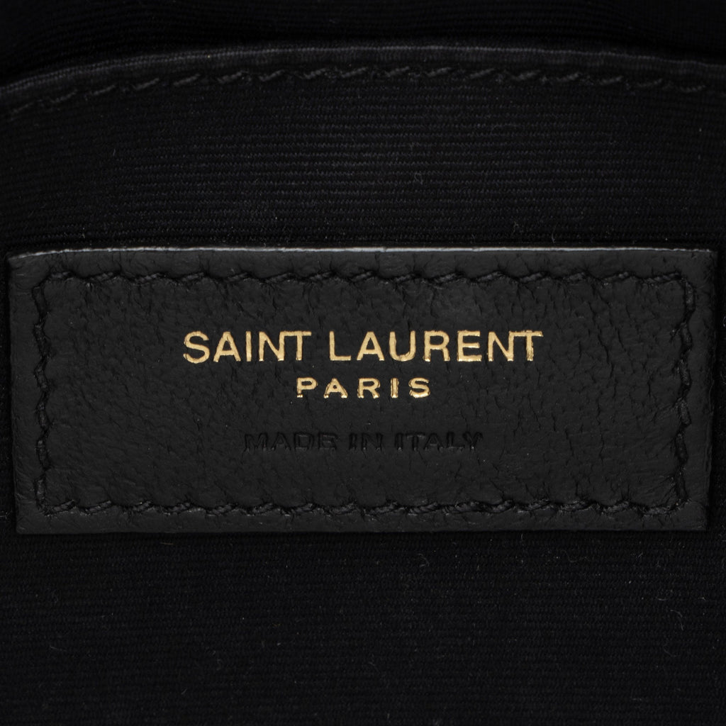 Saint Laurent Raffia Calfskin Monogram Lou Camera Bag