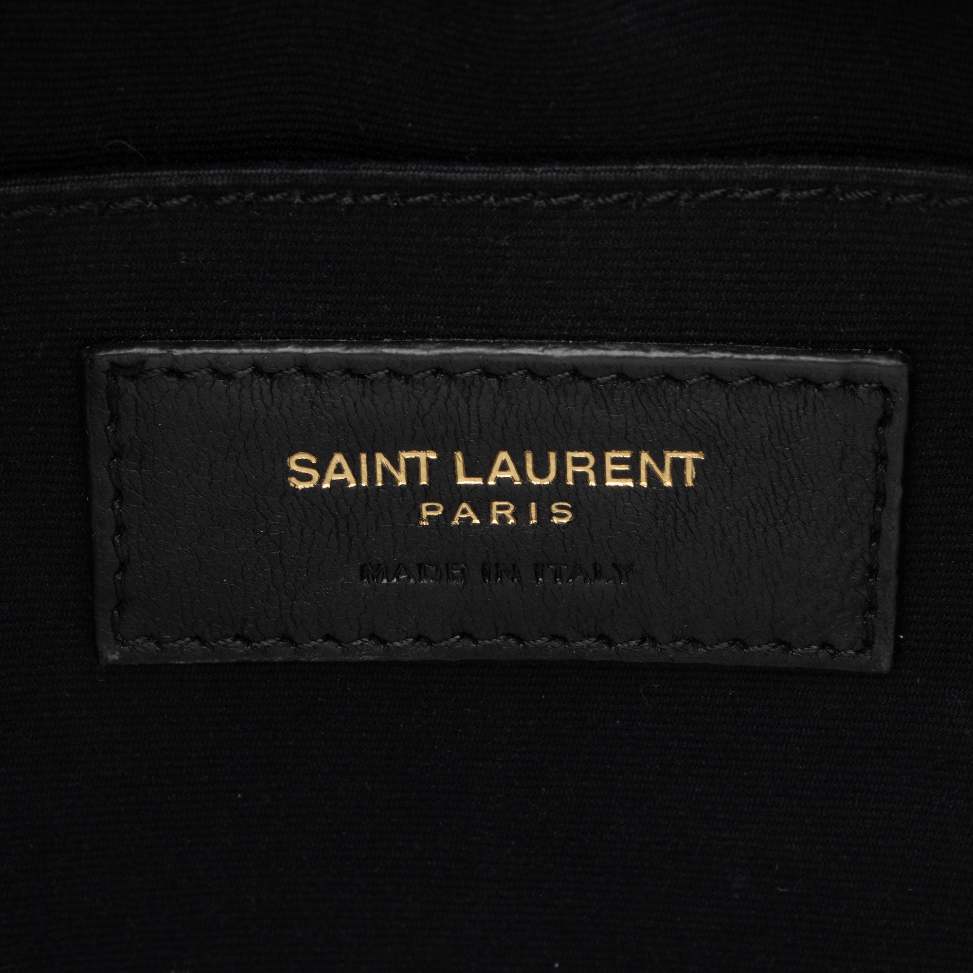 Saint Laurent Raffia Calfskin Monogram Lou Camera Bag