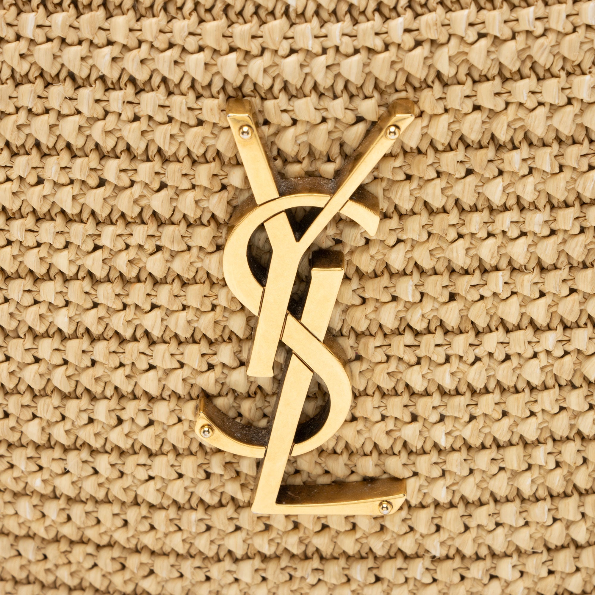Saint Laurent Raffia Calfskin Monogram Lou Camera Bag
