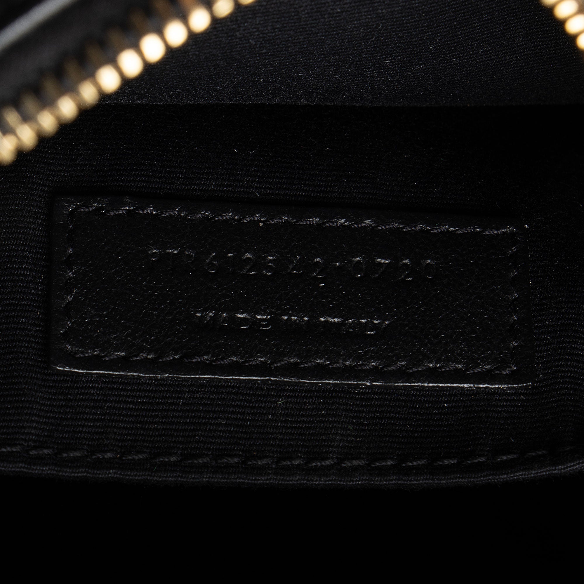 Saint Laurent Raffia Calfskin Monogram Lou Camera Bag