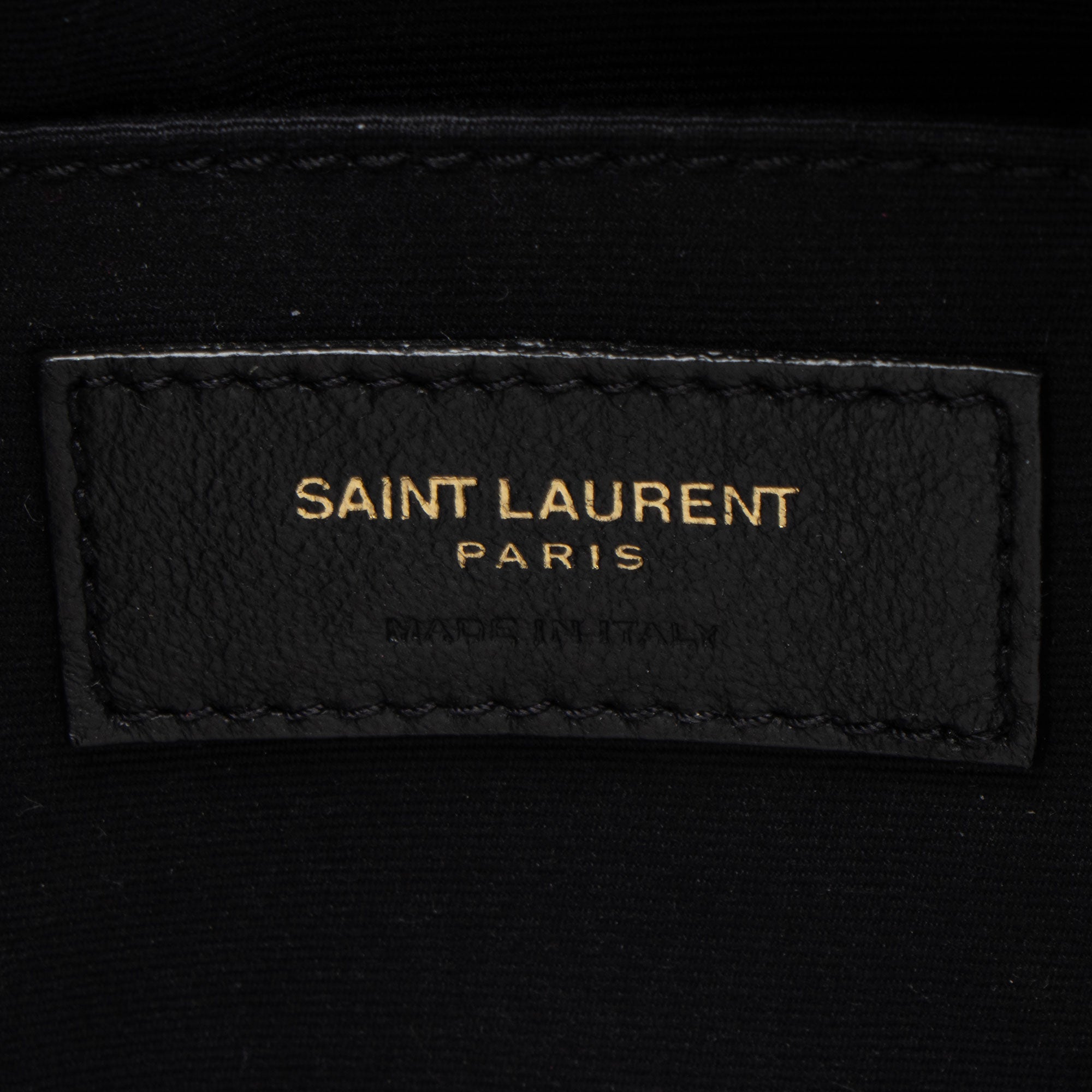 Saint Laurent Raffia Calfskin Monogram Lou Camera Bag