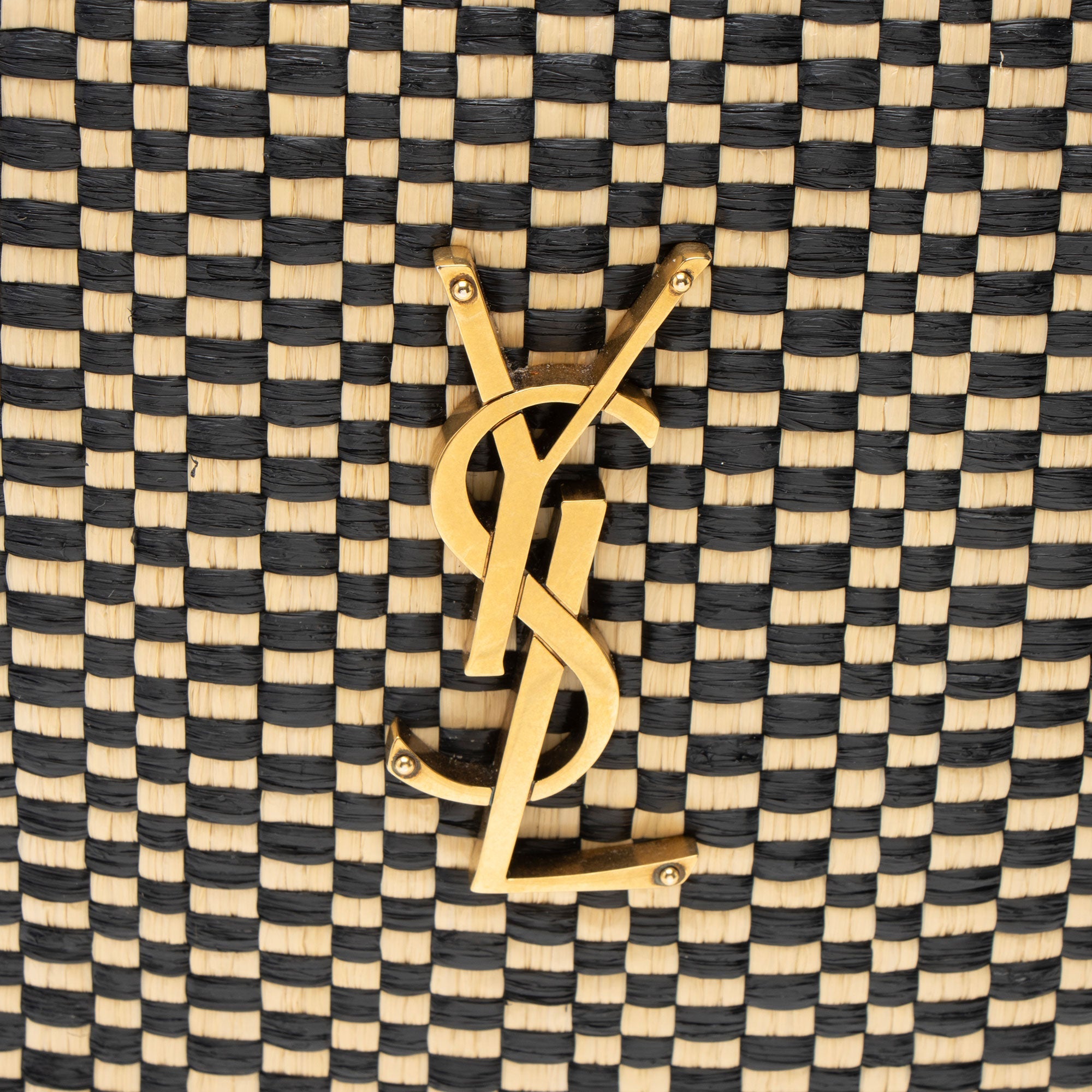 Saint Laurent Raffia Calfskin Monogram Lou Camera Bag