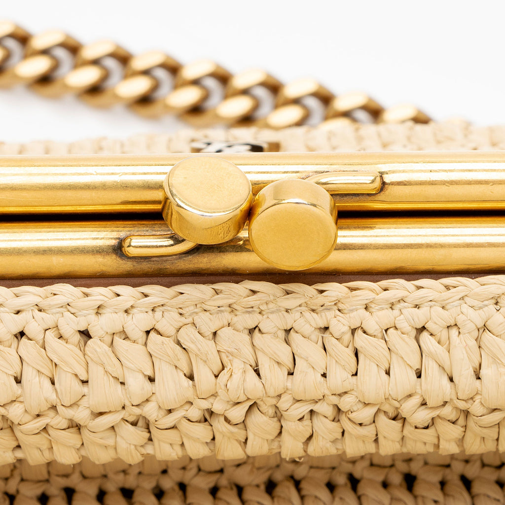 Saint Laurent Raffia Monogram Sac Charniere Medium Shoulder Bag