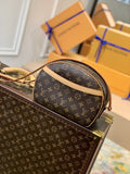 Louis Vuitton Blois Monogram Canvas For Women, WoBags, WoShoulder Bags 9.8in/25cm Louis Vuitton M51221