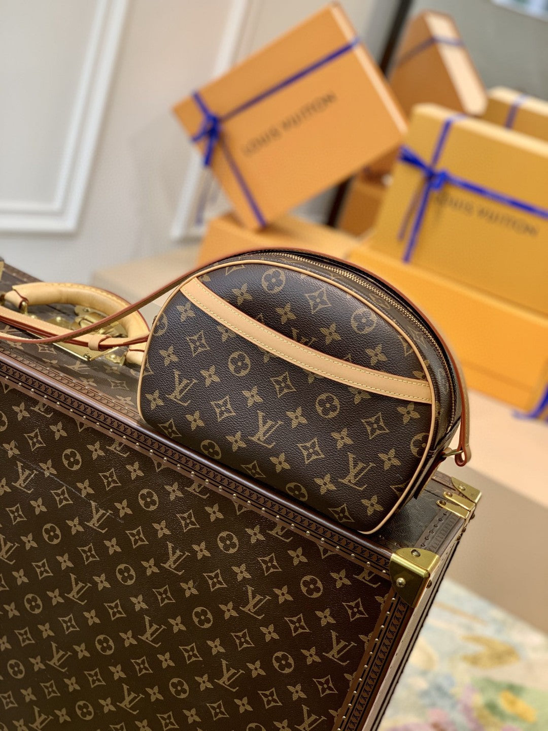 Louis Vuitton Blois Monogram Canvas For Women, WoBags, WoShoulder Bags 9.8in/25cm Louis Vuitton M51221