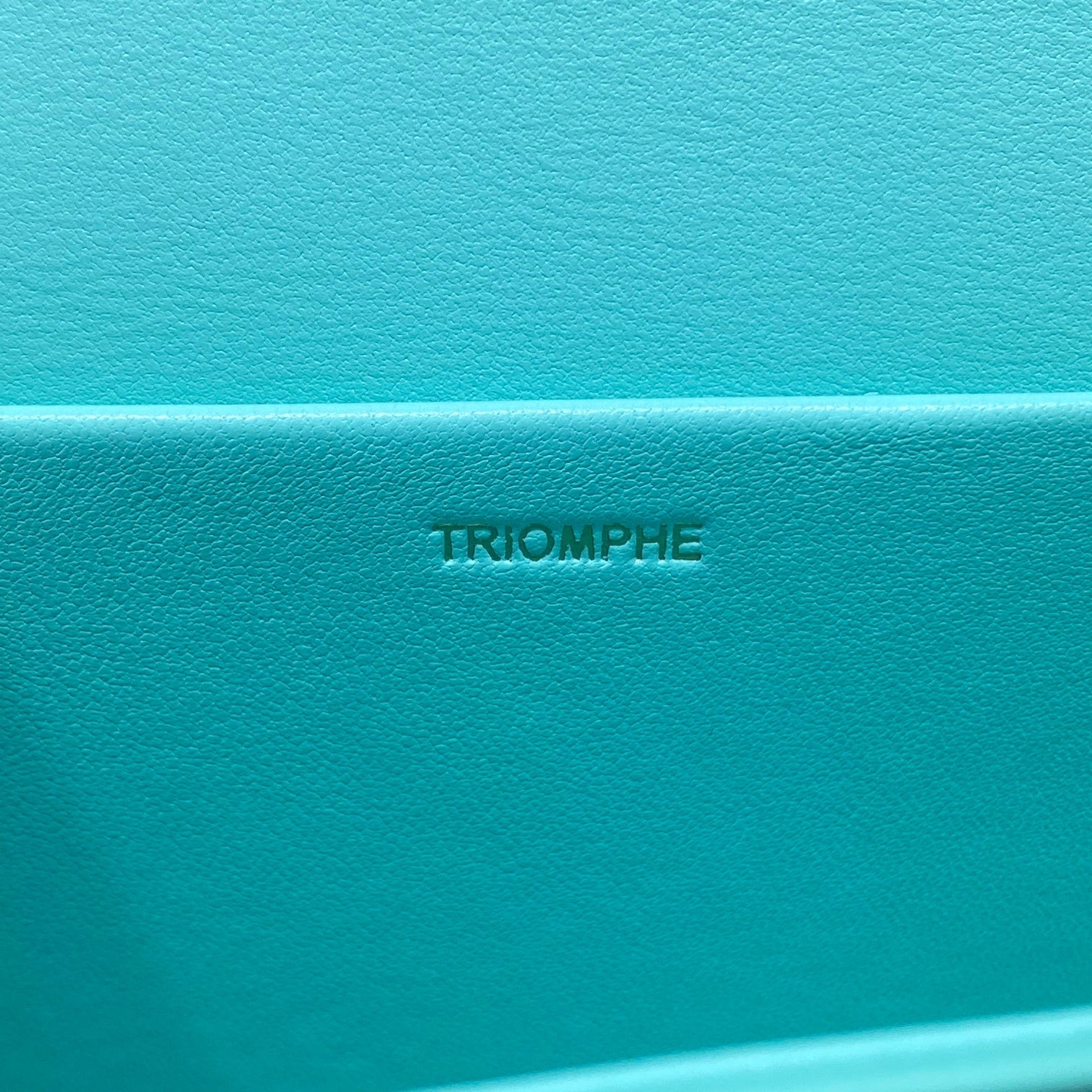 Triomphe Shoulder Bag Mint Green For Women 8in/20cm