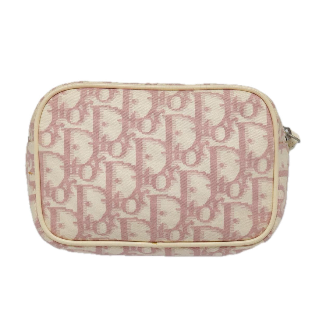 Dior Trotter  Canvas Clutch Bag