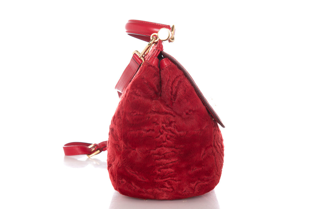 DolCeline & Gabbana Red Fur & Leather Shoulder Bag