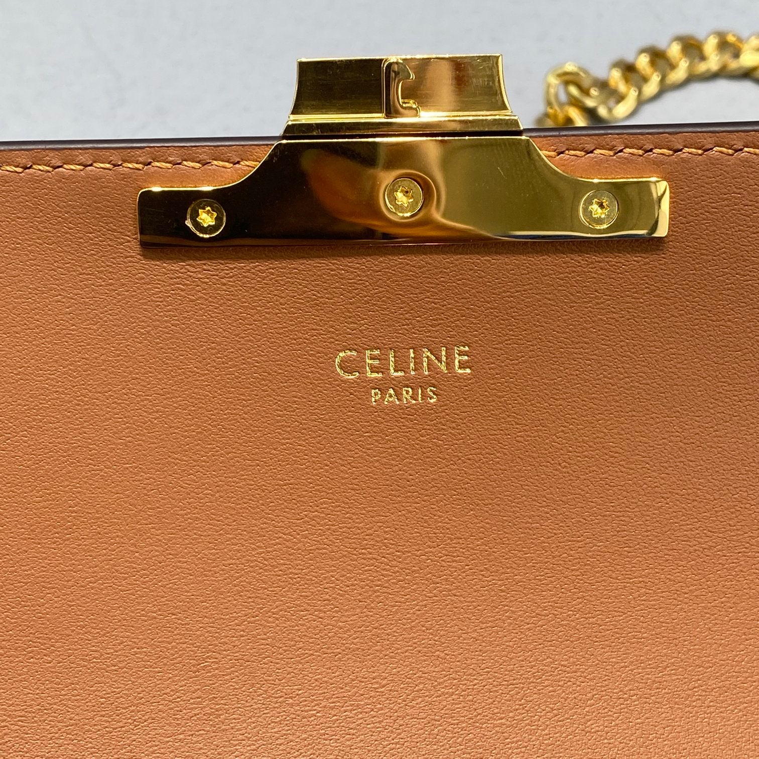 Chain Shoulder Bag Triomphe In Triomphe Canvas Brown For Women 8in/20.5cm 197992DQW.04LU