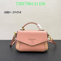 Prada Bags - The Luxera Bags  585