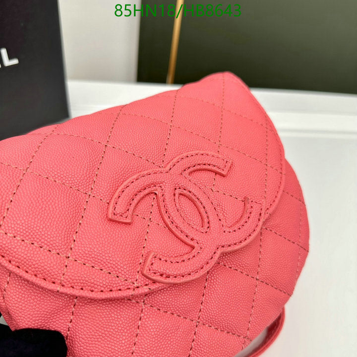 Chanel Bags Crossbody - 030