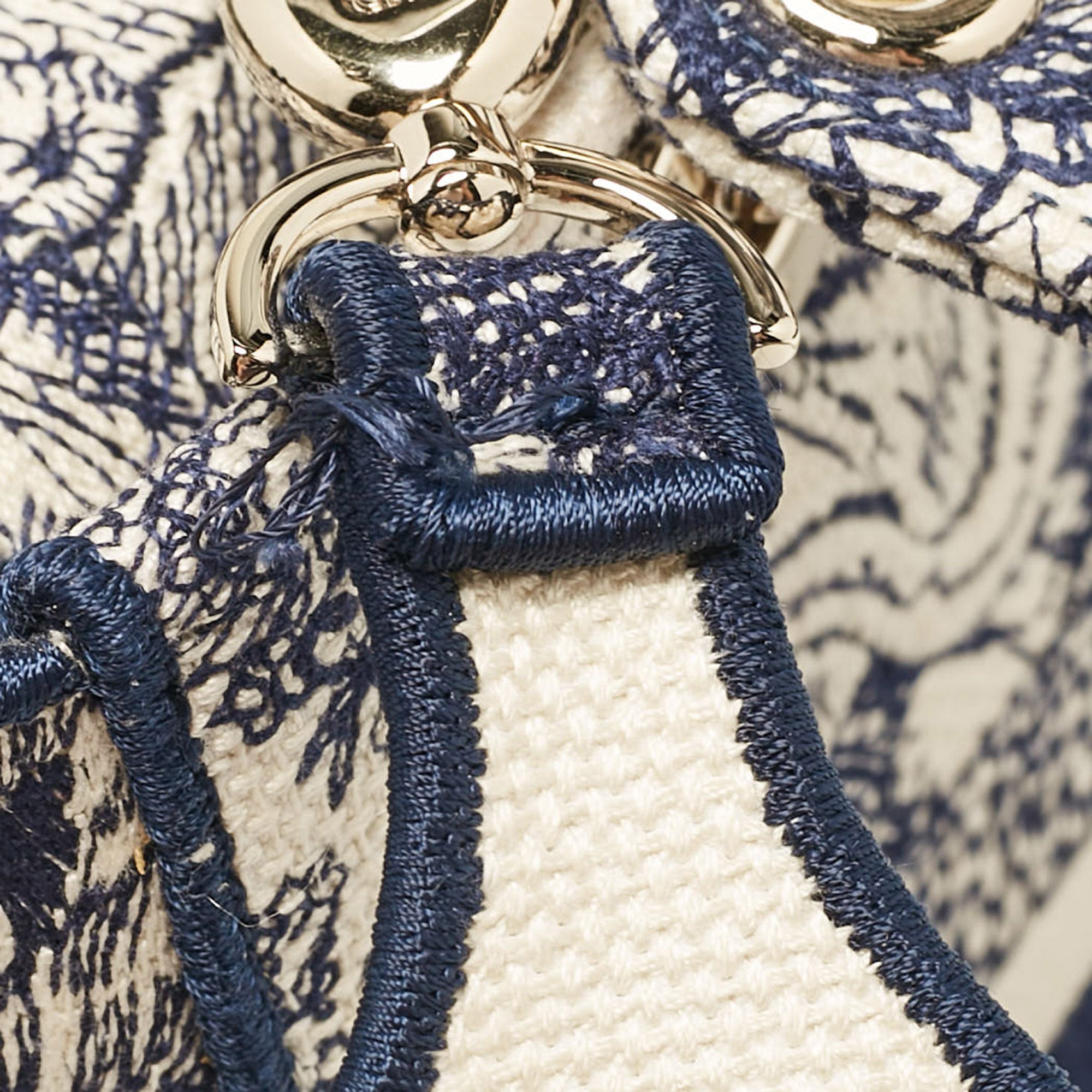 Dior Blue/blue Embroidered Canvas Medium Toile De Jouy Lady D-Lite Tote