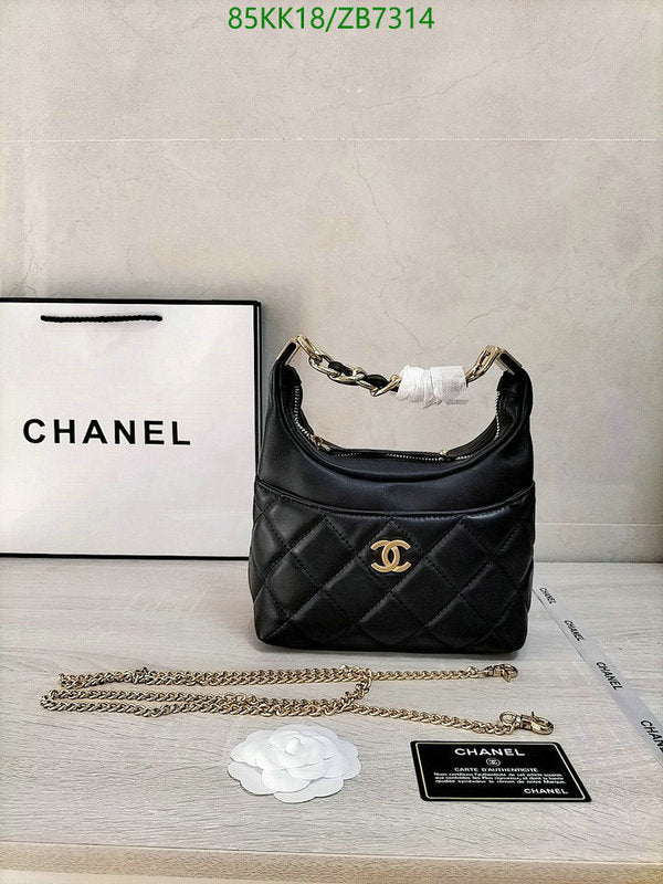 Chanel Bags Crossbody - 179