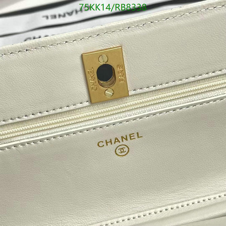 Chanel Bags Crossbody - 193