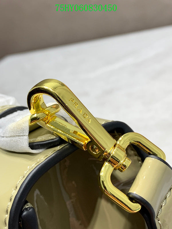 Prada Bags - The Luxera Bags  014