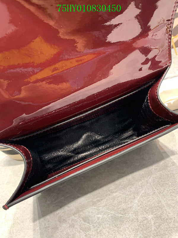 Prada Bags - The Luxera Bags  017