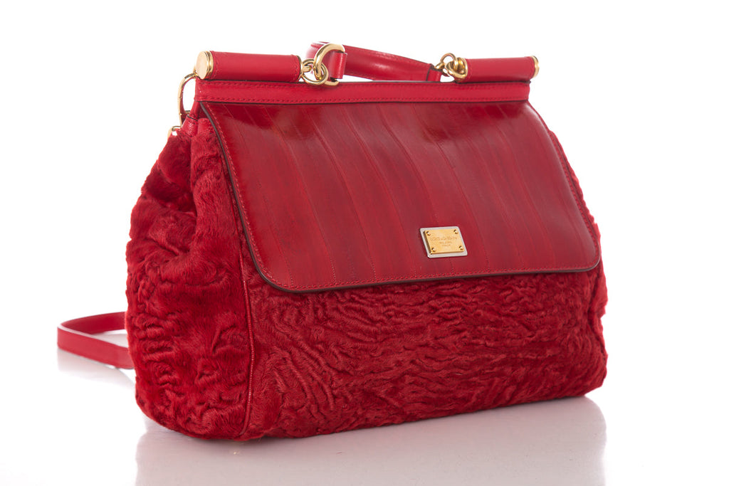 DolCeline & Gabbana Red Fur & Leather Shoulder Bag