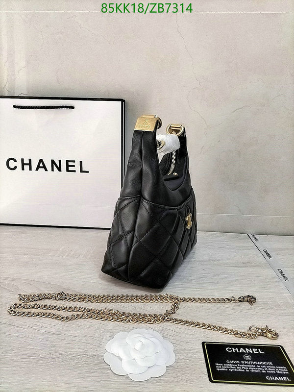 Chanel Bags Crossbody - 179