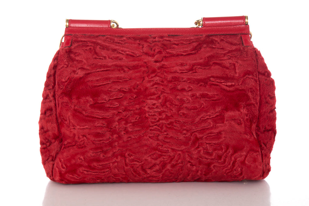 DolCeline & Gabbana Red Fur & Leather Shoulder Bag