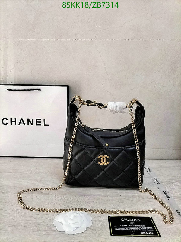 Chanel Bags Crossbody - 179