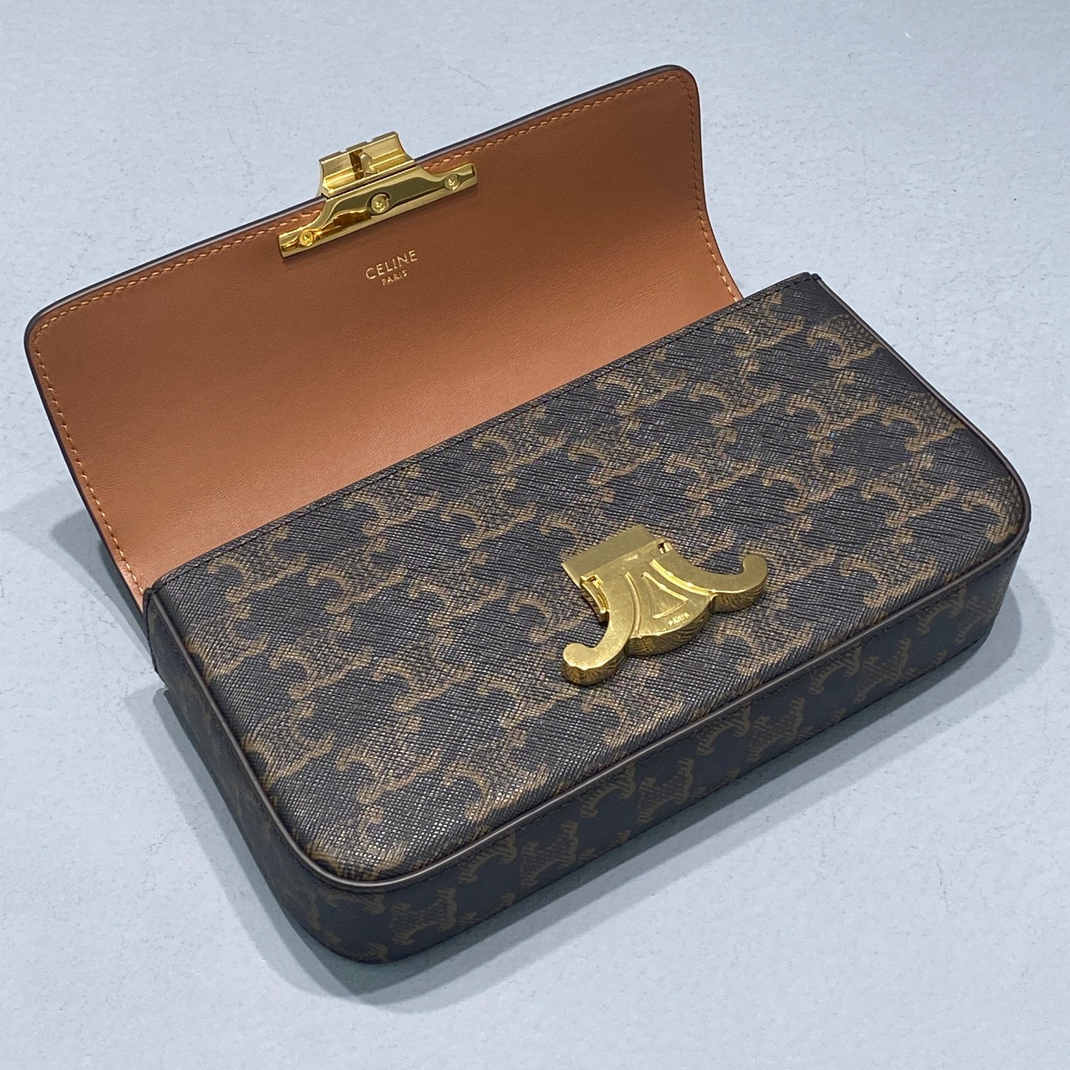 Chain Shoulder Bag Triomphe In Triomphe Canvas Brown For Women 8in/20.5cm 197992DQW.04LU