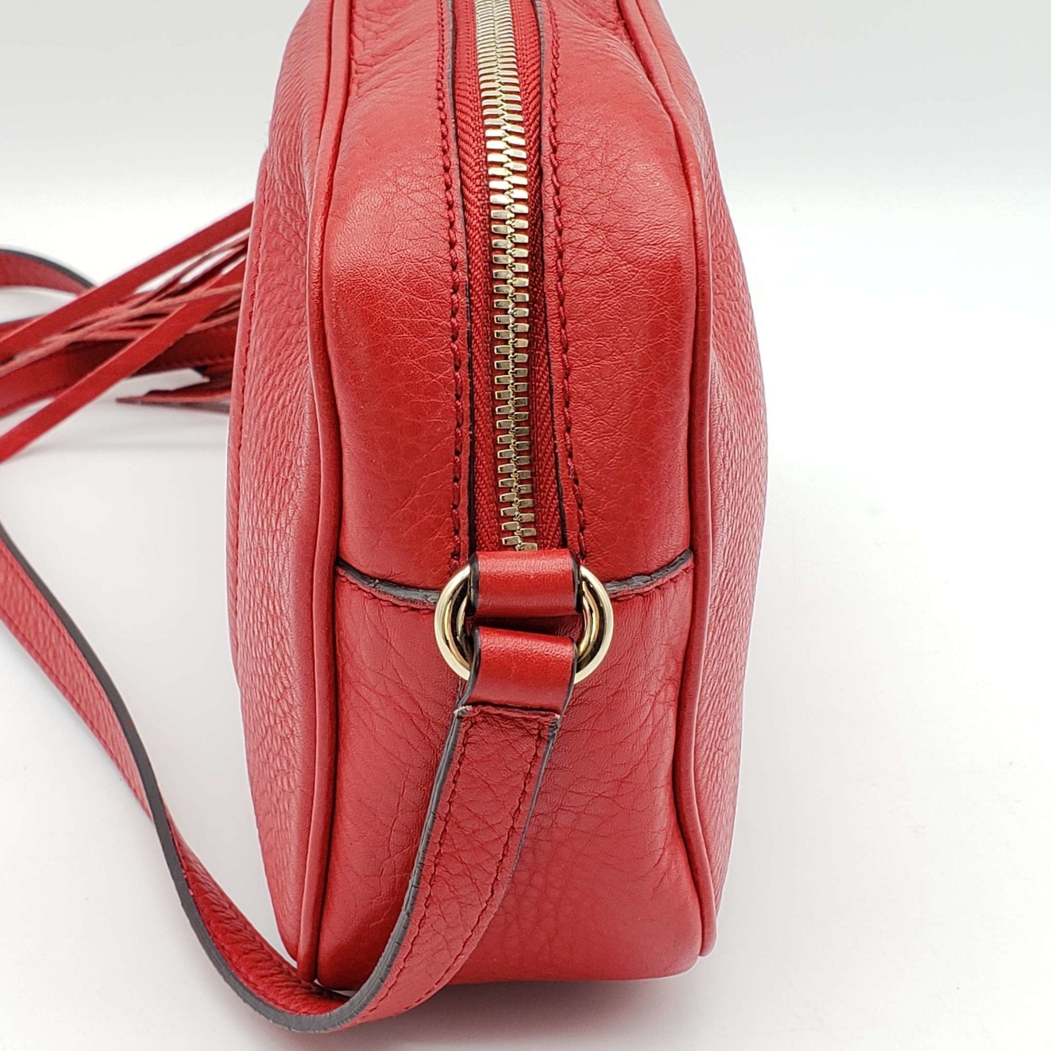 Gucci Diorsco Camera Crossbody Bag