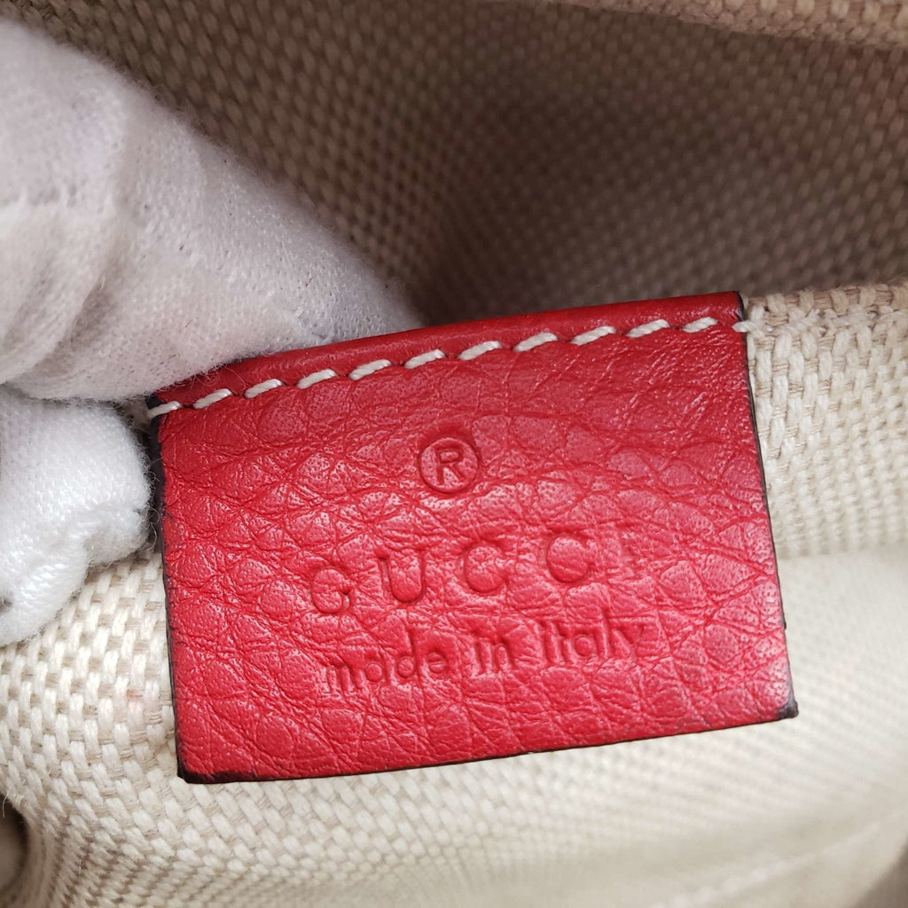 Gucci Diorsco Camera Crossbody Bag