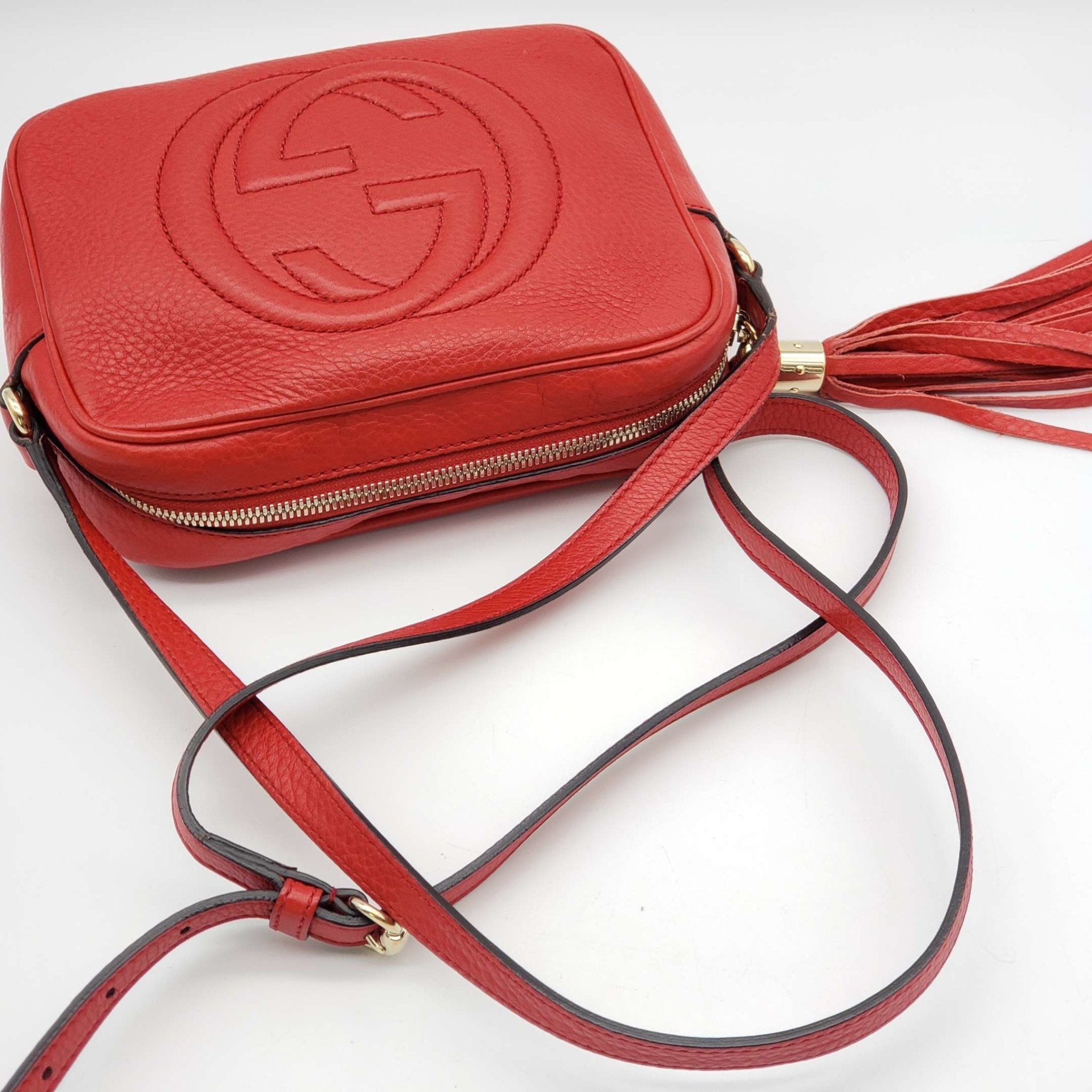 Gucci Diorsco Camera Crossbody Bag