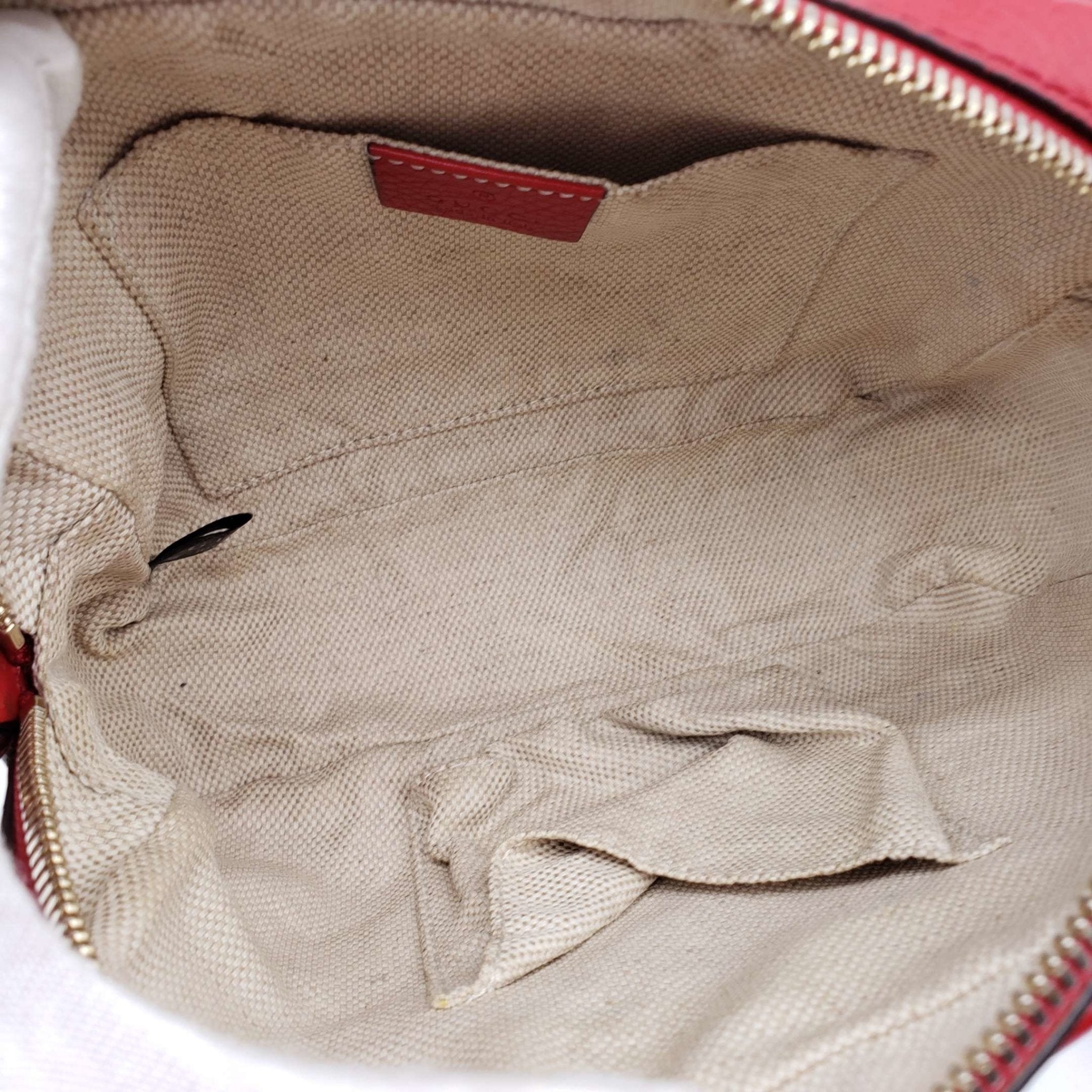 Gucci Diorsco Camera Crossbody Bag
