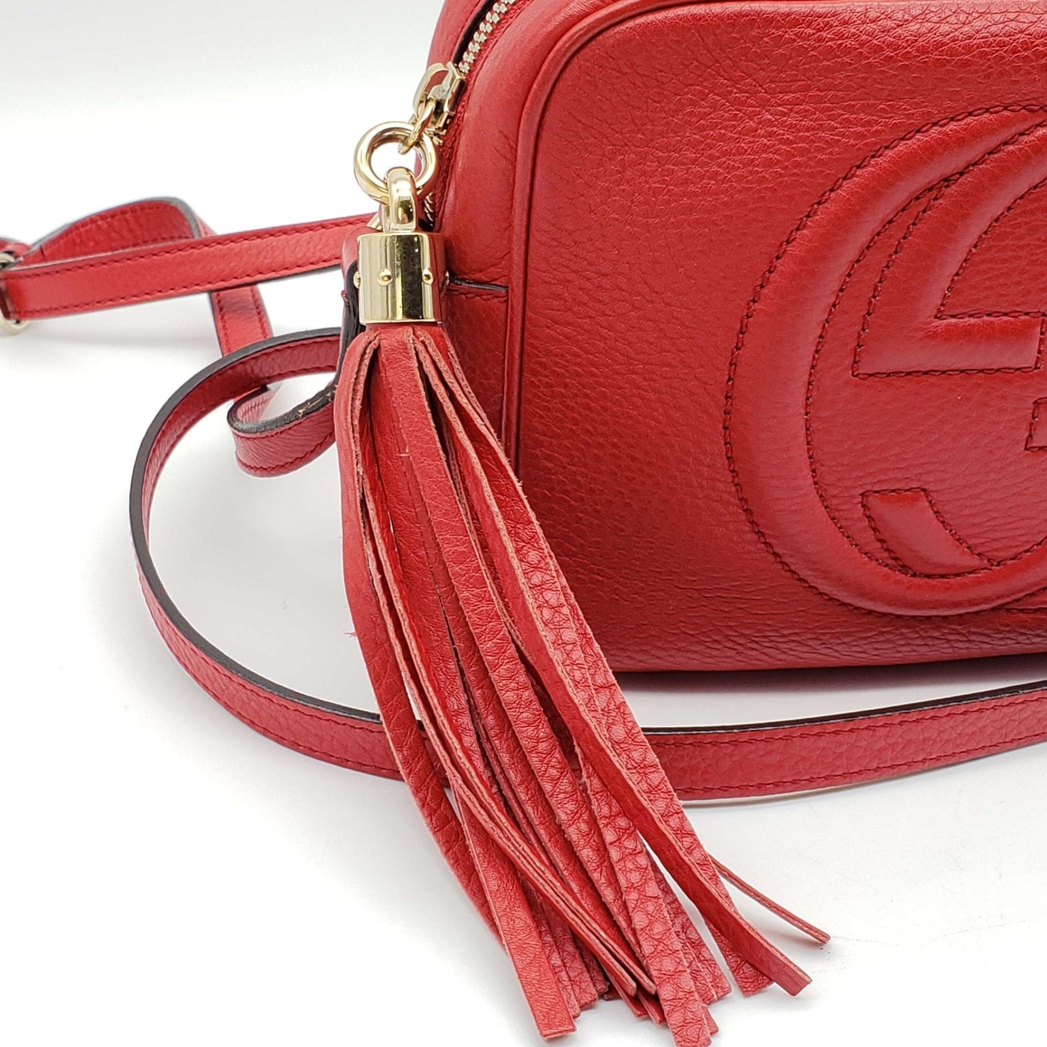 Gucci Diorsco Camera Crossbody Bag
