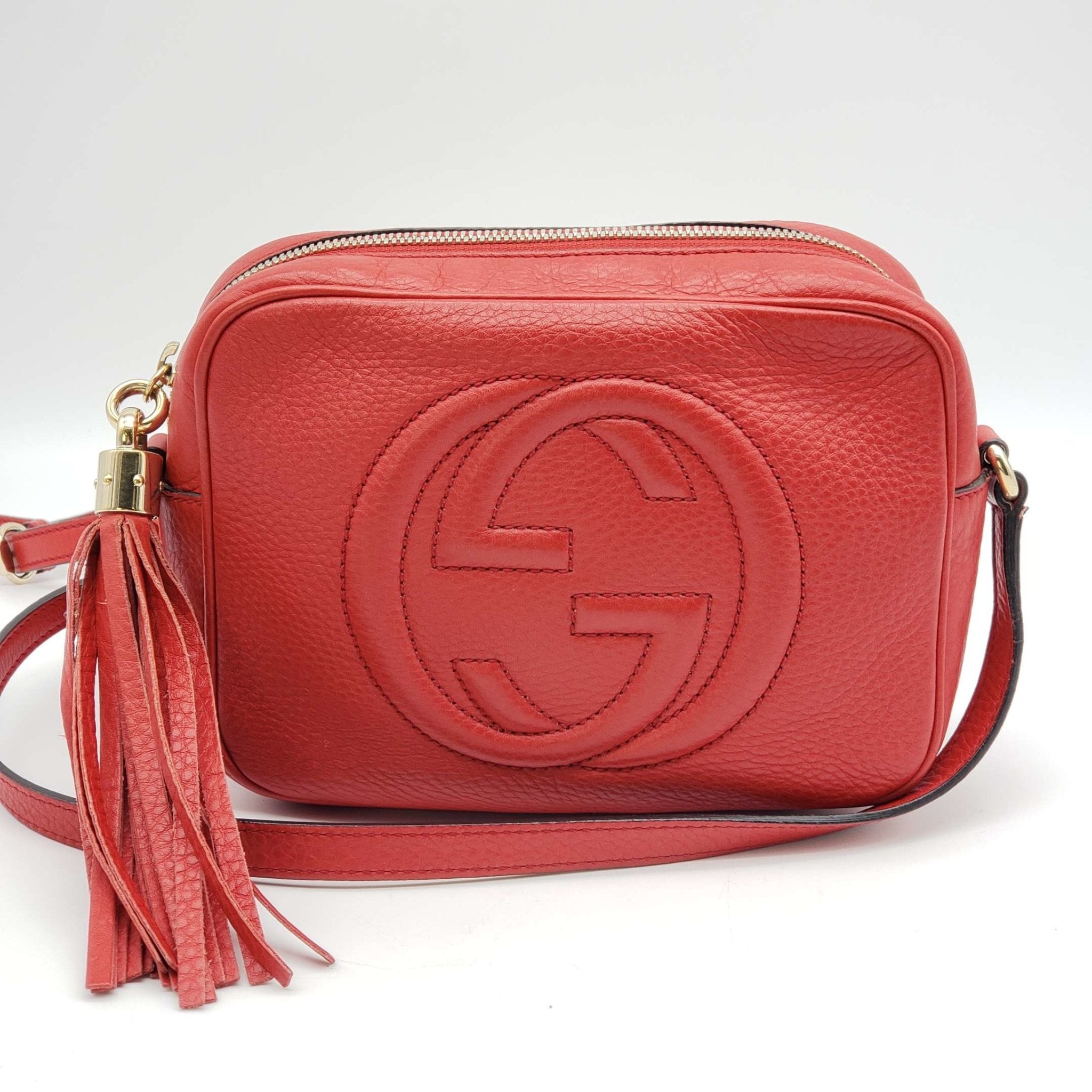 Gucci Diorsco Camera Crossbody Bag