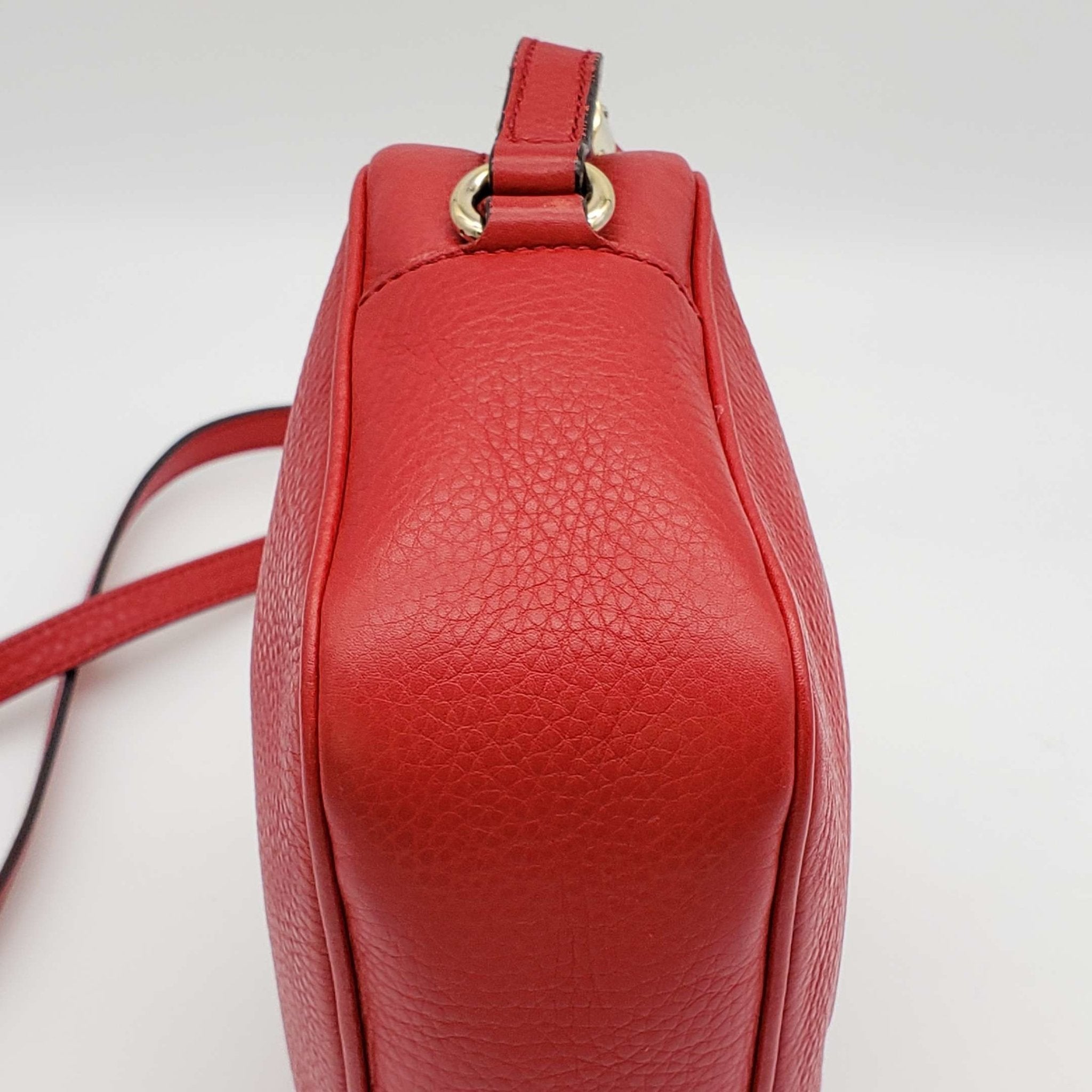 Gucci Diorsco Camera Crossbody Bag